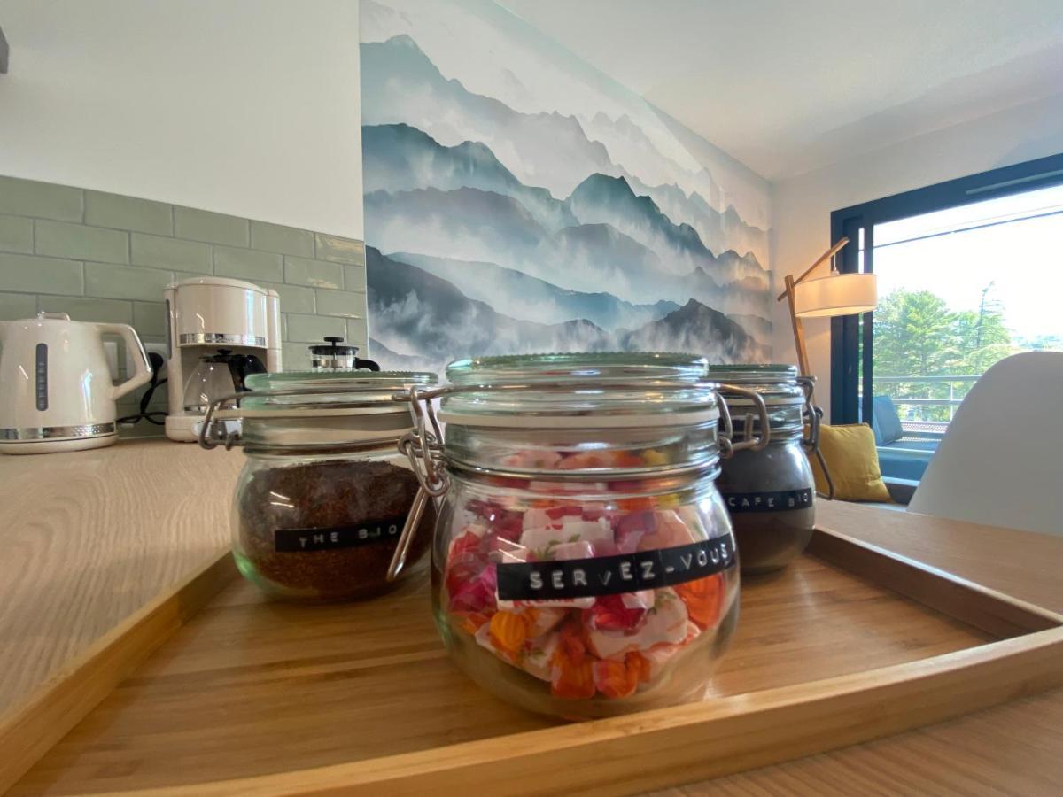 L'Orangeraie - Garage, Balcon, Velos, Proche Lac, Vue Montagne Анси Екстериор снимка